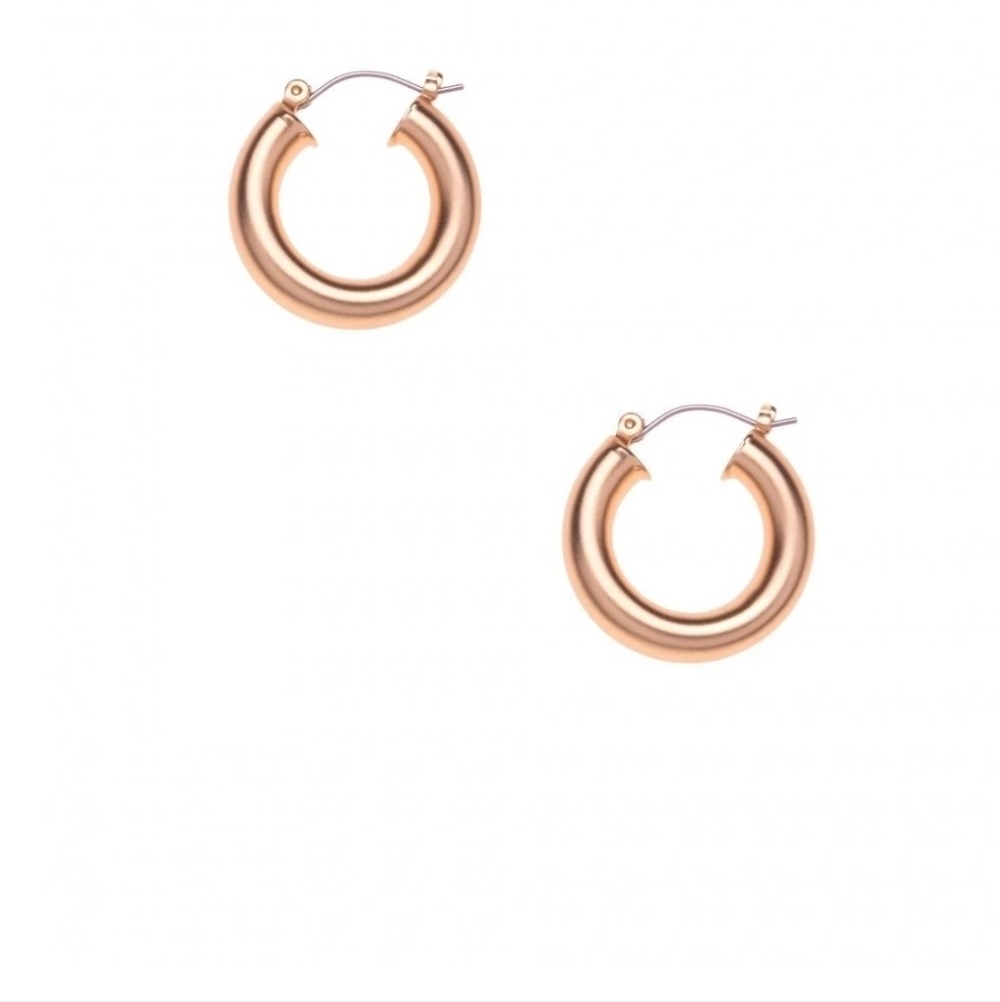 Matte Gold Hoop Earrings